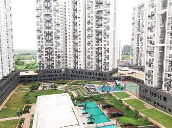 2 BHK Apartment For Rent in Godrej Infinity Keshav Nagar Pune  7045046