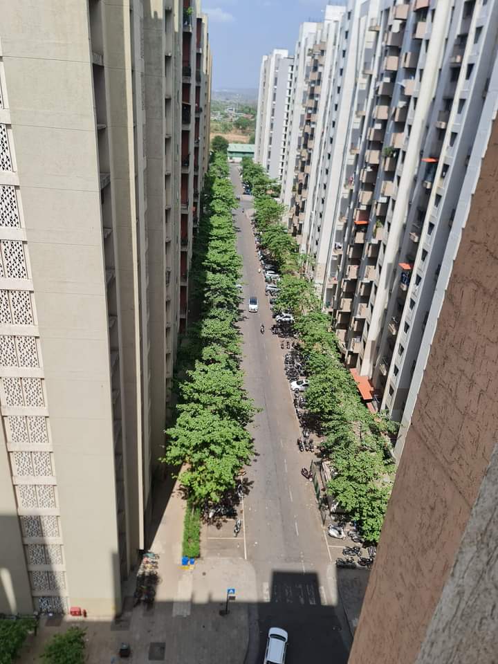 1 RK Apartment For Rent in Lodha Palava City Lakeshore Greens Dombivli East Thane  7046412