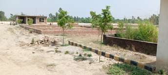  Plot For Resale in Ayodhya Faizabad 7047215
