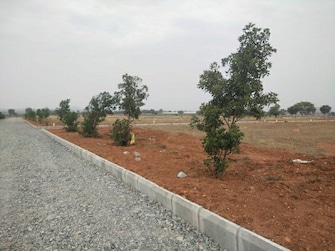 Plot For Resale in Yacharam Hyderabad  7047382