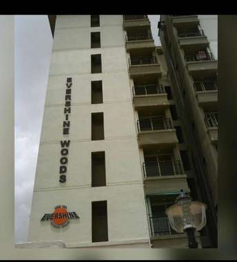 2 BHK Apartment For Rent in Evershine Woods Mira Road Mumbai 7047817