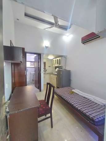 1 RK Apartment For Rent in Defence Colony Villas Defence Colony Delhi  7049785