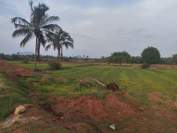 Commercial Land 4 Acre For Resale in Attibele Bangalore  7050312