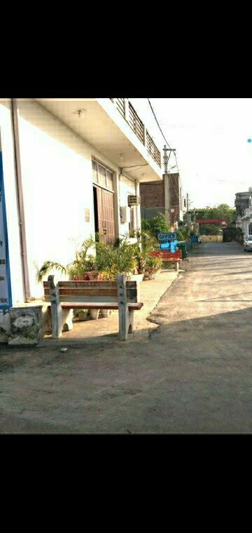  Plot – Exterior View View at LDK Mangnil Park, Sector 119 - for Sale