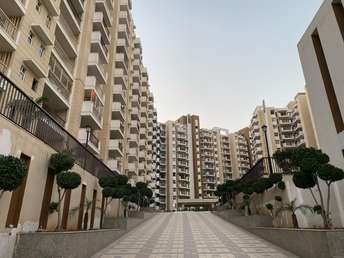 2 BHK Apartment For Resale in Terra Elegance Alwar Bypass Road Bhiwadi 7051176