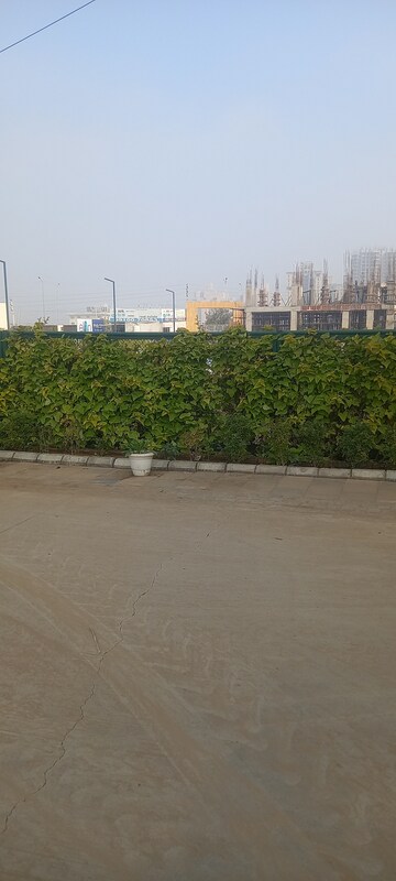  Plot – Exterior View View at ROF Insignia Park, Sector 93 - for Sale