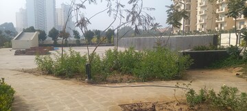Plot Area in  Plot at ROF Insignia Park, Sector 93 – for Sale