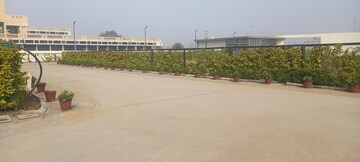 Plot Area in  Plot at ROF Insignia Park, Sector 93 – for Sale
