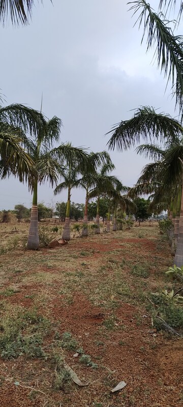  Plot – Garden View at Jamul - for Sale