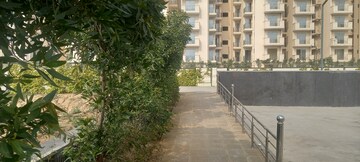  Plot – Exterior View View at ROF Insignia Park, Sector 93 - for Sale