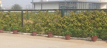  Plot – Exterior View View at ROF Insignia Park, Sector 93 - for Sale