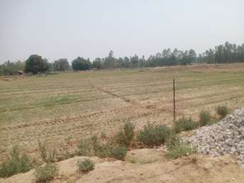 Commercial Land 4 Acre For Resale in Sisandi Lucknow  7052691