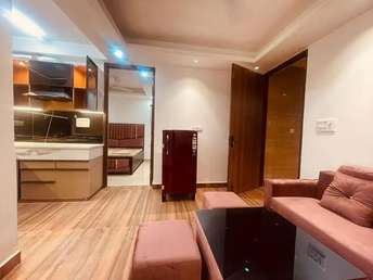 1 BHK Apartment For Rent in Saket Delhi  7052950