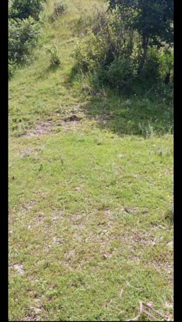  Plot For Sale in Bhadaj