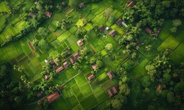  Plot For Sale in Godrej Eden Estate, Hinjewadi