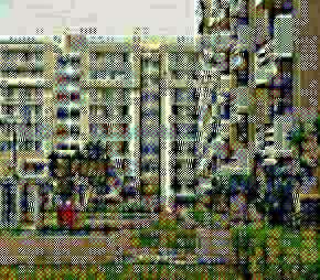 3 BHK Apartment For Resale in SVP Gulmohur Greens Mohan Nagar Ghaziabad 7053393