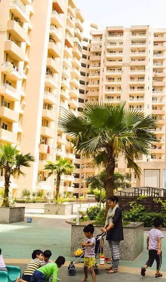 2 BHK Apartment For Resale in ACE Platinum Zeta I Greater Noida Greater Noida  7054592