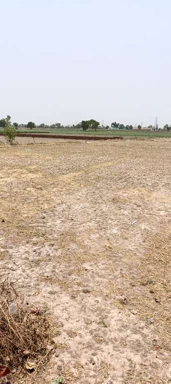 Commercial Land 4 Acre For Resale In Jattal Panipat 7055070