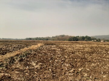 Plot Area in  Plot at Koproli – for Sale