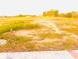 Plot For Resale in Lalru Mohali  7055130