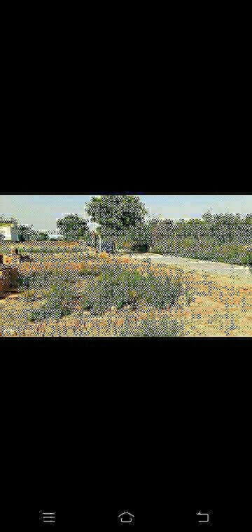 Plot Area in  Plot at Residential Apartment, Sector 151 – for Sale