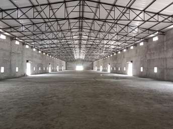Commercial Warehouse 75000 Sq.Ft. For Rent in Sirsa Main Road Sirsa  7055896