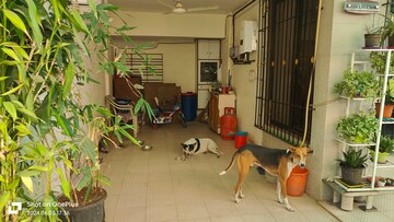 Living Room in 3 BHK Villa at Vasai West – for Sale