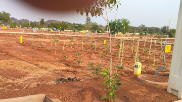 Plot Area in  Plot at Kamkole – for Sale