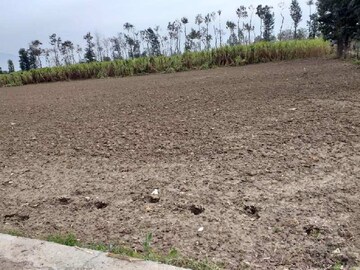 Plot Area in  Plot at Kotewada – for Sale