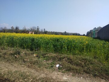 Plot Area in  Plot at Kotewada – for Sale
