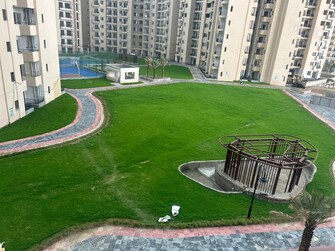 3 BHK Apartment For Resale in Oasis GrandStand Yex Sector 22d Greater Noida  7057235