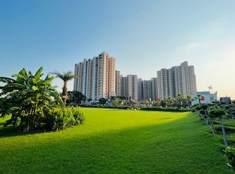 3 BHK Apartment For Resale in Oasis GrandStand Yex Sector 22d Greater Noida  7057235