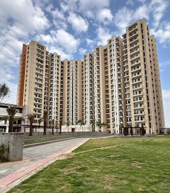 3 BHK Apartment For Resale in Oasis GrandStand Yex Sector 22d Greater Noida  7057235