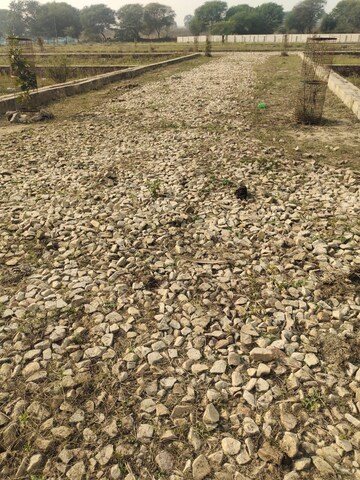 Plot Area in  Plot at Faizabad Road – for Sale