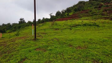Plot Area in  Plot at Mangaon – for Sale