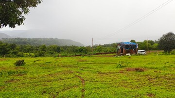 Plot Area in  Plot at Mangaon – for Sale