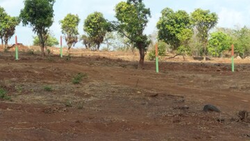 Plot Area in  Plot at Mangaon – for Sale