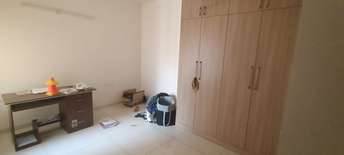 3 BHK Apartment For Rent in Sobha Palm Courts Kogilu Bangalore  7057948