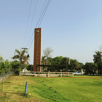 रेसिडेंशियल प्लॉट वर्ग यार्ड फॉर रीसेल इन नॉर्थ मुल्लानपुर चंडीगढ़  7058150