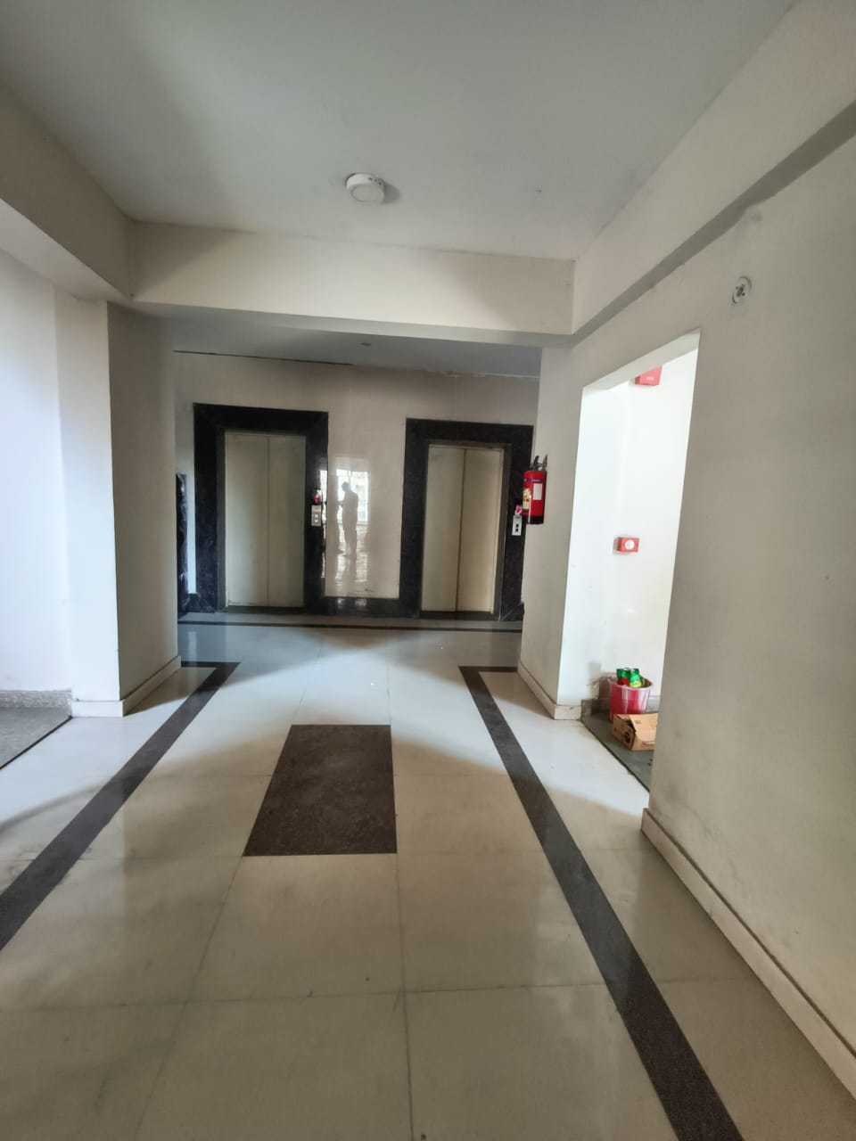 3.5 BHK Independent House For Rent in Gomti Nagar Lucknow  7058677