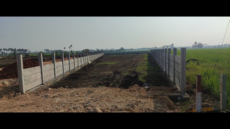 undefined, kankipadu  248 Sq.Yd. Plot In Kankipadu Vijayawada 7058839