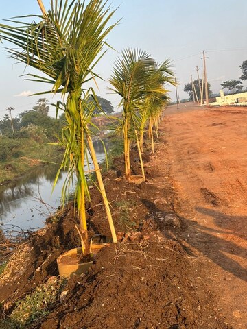 Plot – Exterior View View at Kankipadu - for Sale