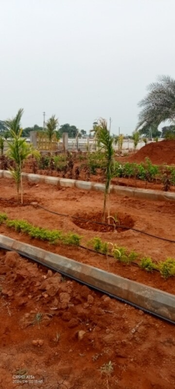 Plot Area in  Plot at Kankipadu – for Sale