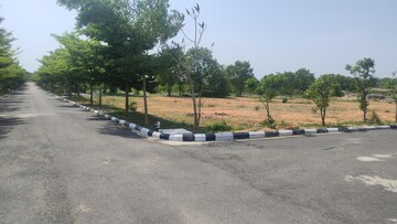  Plot – Exterior View View at Sai Priya Enchanted Farms, Tukkuguda - for Sale