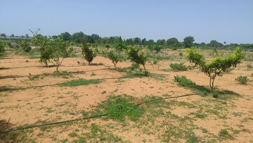 Plot Area in  Plot at Sai Priya Enchanted Farms, Tukkuguda – for Sale