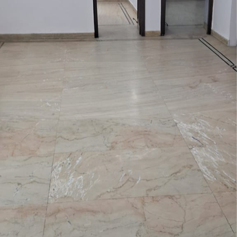 3 BHK Builder Floor For Rent in Vikram Vihar Lajpat Nagar Iii Delhi  7059115