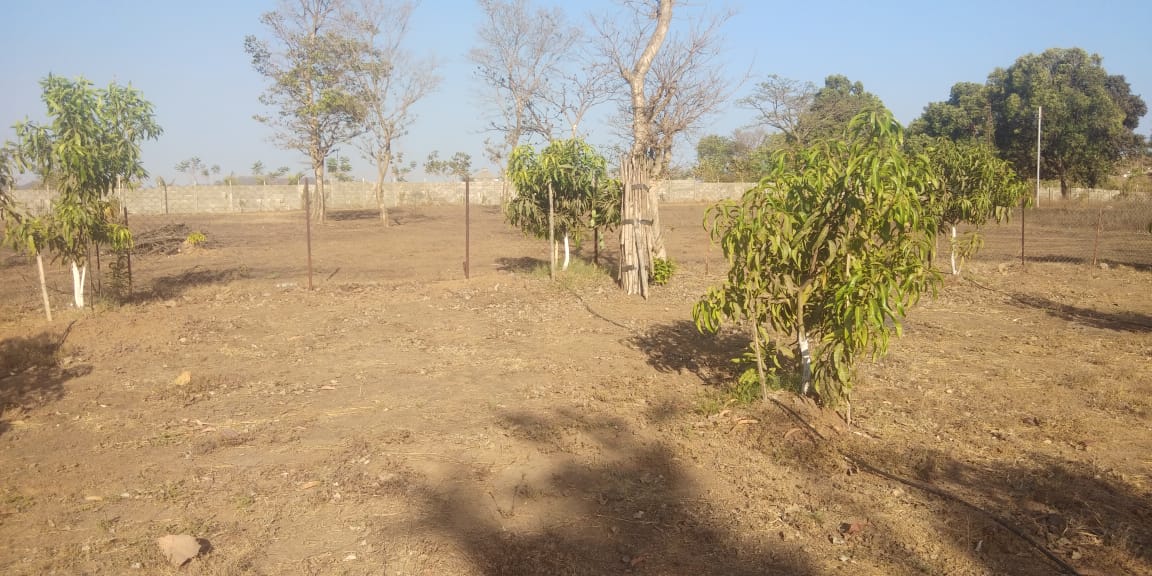 Plot For Resale in Panvel Navi Mumbai  7059694