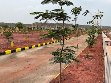 Plot For Resale in Budhera Hyderabad  7060039