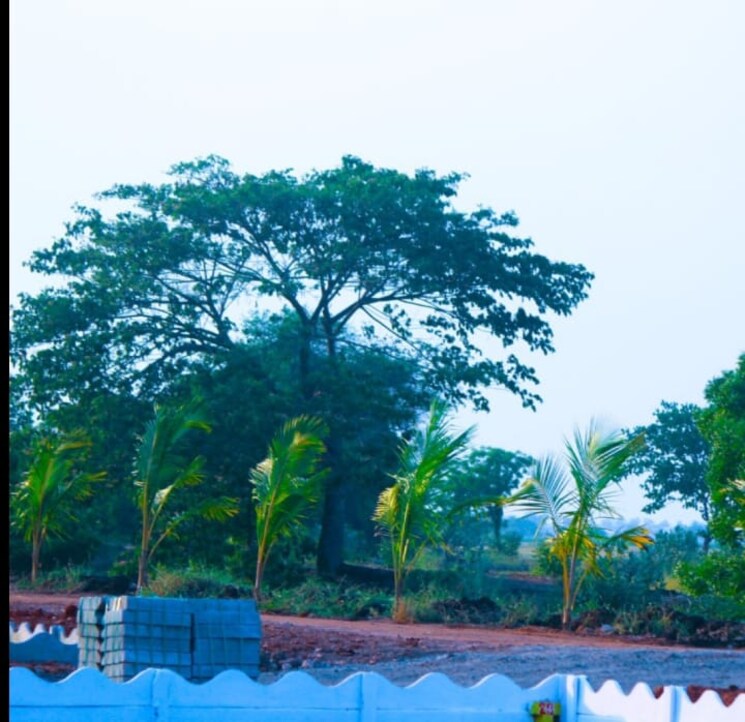 Exterior View, kankipadu  162 Sq.Yd. Plot In Kankipadu Vijayawada 7060985