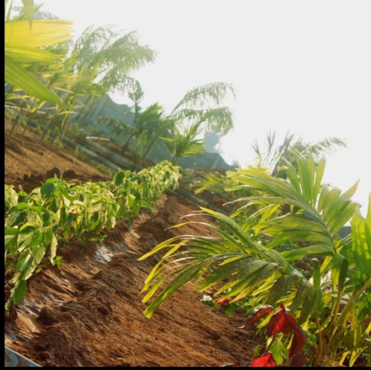 Garden, kankipadu  162 Sq.Yd. Plot In Kankipadu Vijayawada 7060985